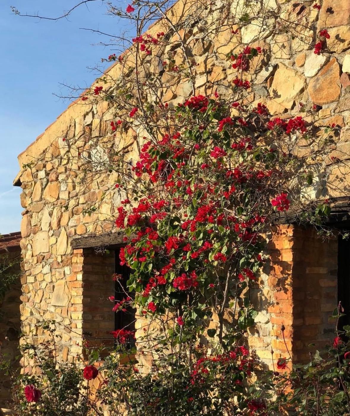 Finca Los Caleros Juan Gallegos 外观 照片