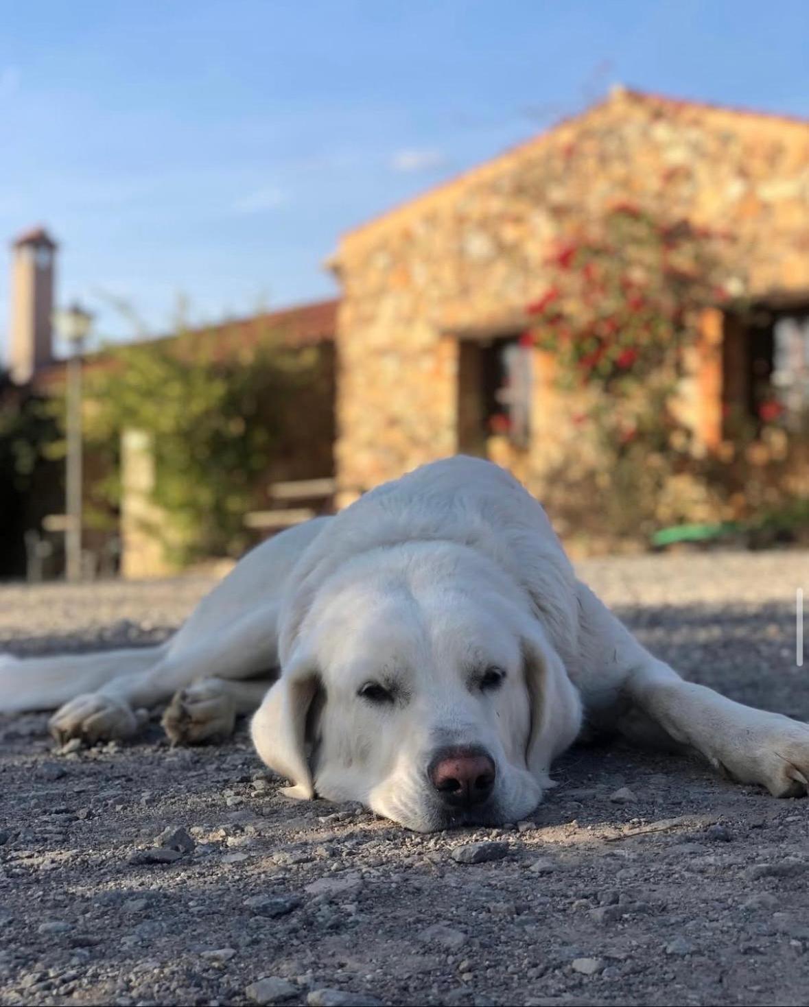 Finca Los Caleros Juan Gallegos 外观 照片