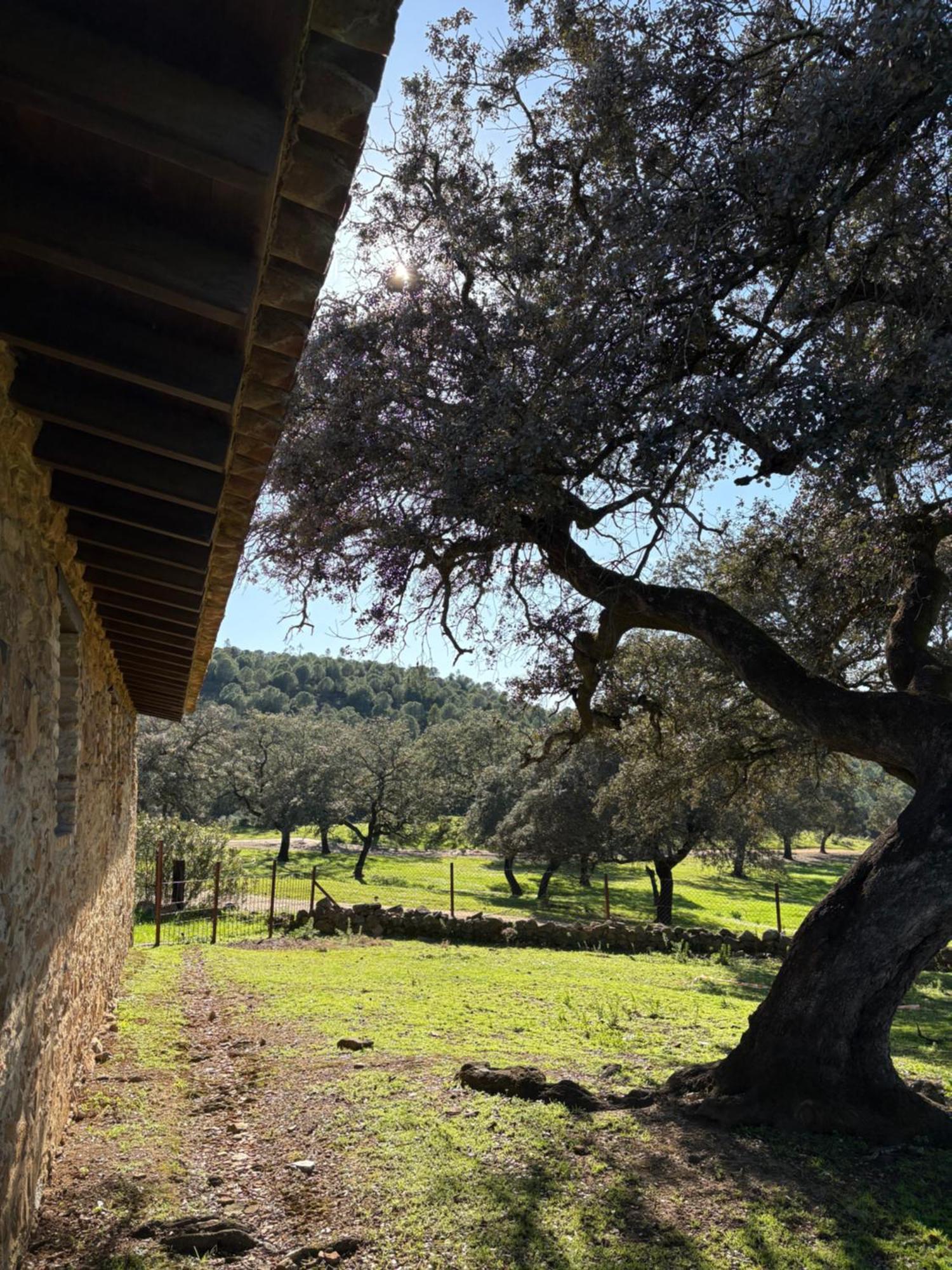 Finca Los Caleros Juan Gallegos 外观 照片