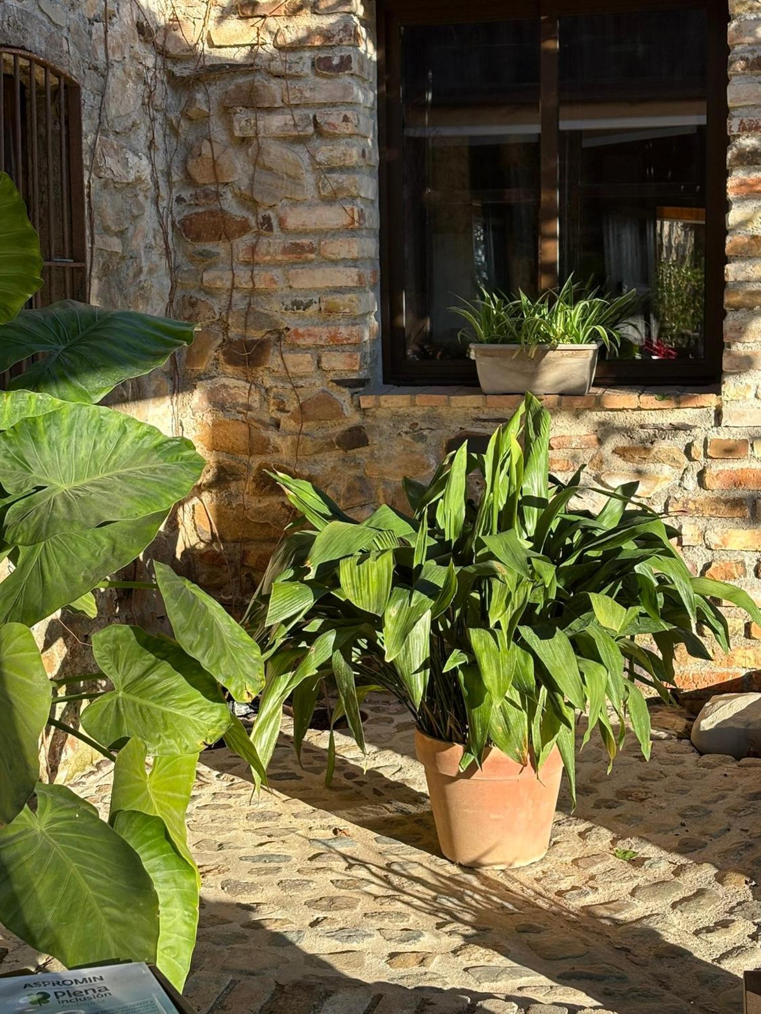 Finca Los Caleros Juan Gallegos 外观 照片
